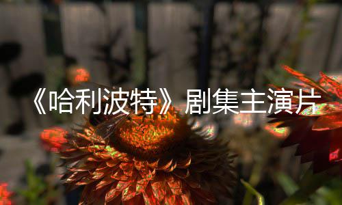 百万特剧集就成第片酬曝光二季主演利波哈富翁