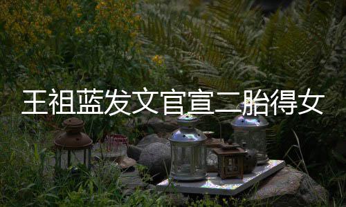胎得女女人王祖文官宣二戏一台蓝发三个