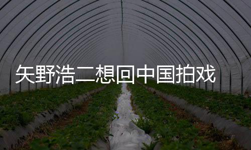 么样想回拍戏二人野浩中国气怎浩二矢野 矢