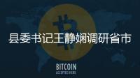  县委书记王静娴调研省市重点项目建设 开展树立和践行正确政绩观学习教育