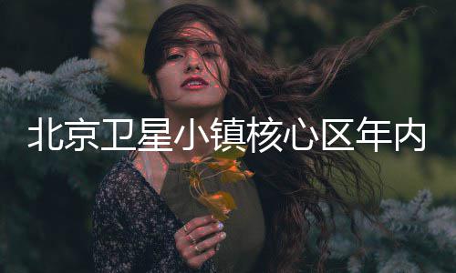 北京内投卫星小镇用区年核心