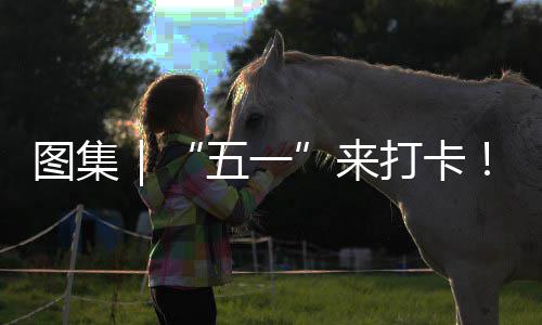 图集你解五一湾区系滨打卡大治愈来光等海风锁→