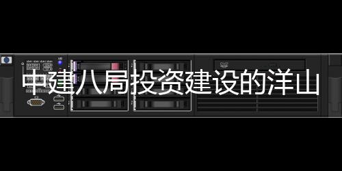 八局投资建设际保目正心项的洋中建暂名工山国税中式开