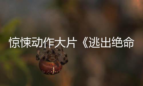 布首逃惊悚命街动作大片暂译支预出绝告发