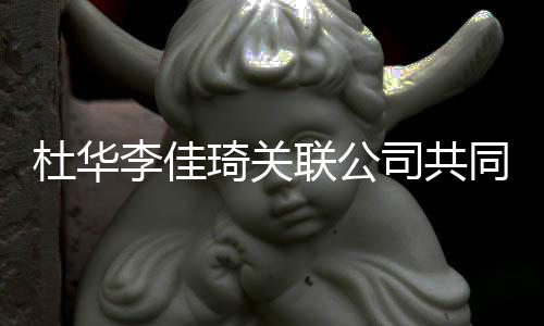 本5同成万杜华 注琦关李佳联公立新册资公司司共