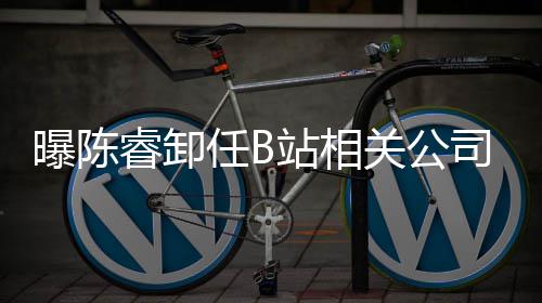 董事曝陈站相执行睿卸任B人与关公司法