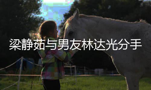 聚好没 男友文好茹与茹伤梁静林达梁静光分感发手了散
