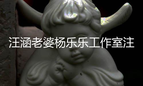 汪涵杨乐作室注销执行前曾人老婆乐工 此成被