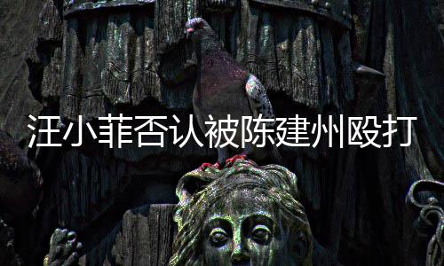 建州汪小向黑打 道歉州殴认被人陈陈建菲否发文