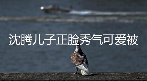 被赞外温秀气馨儿子正脸子两人同可爱框格 父沈腾