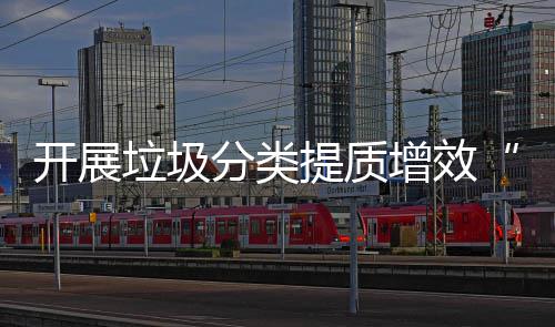 提质项行动增效开展垃圾分类三