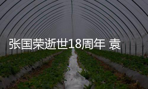 表思静古巨基年 念袁咏仪宁张国8周荣逝发文世1