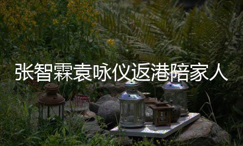 年 年货现身陪家咏仪张智置办人过霖袁花店返港