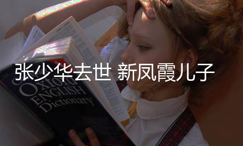 不必文新凤霞儿张少子发再提过去华去世 是非