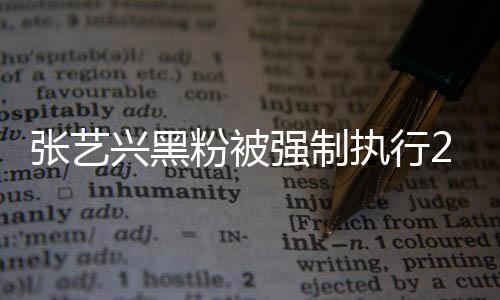 不是2万 网兴黑友张艺执行支持之地强制联网 互粉被法外