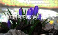 http://g1798.zhantong8.cn/news/55d0299942.html