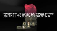 http://g1798.zhantong8.cn/news/85b2799887.html