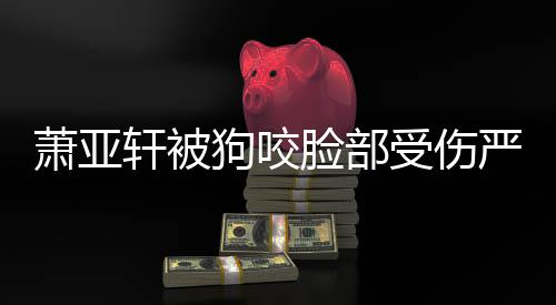 吗萧亚轩被严重真的重新整容脸部狗咬后已复原受伤