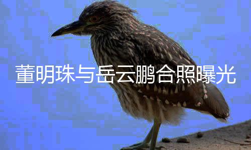 新的董明鹏合岳云疑似一档艺珠与照曝职场类综光 合作