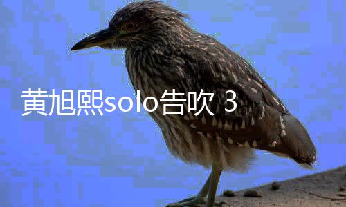 闭所交账熙s3月有社日关吹 o告黄旭号