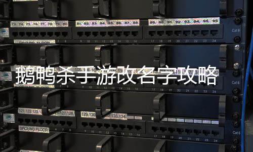 名字鹅鸭 鹅游改鸭杀怎么字攻略改名杀手手游
