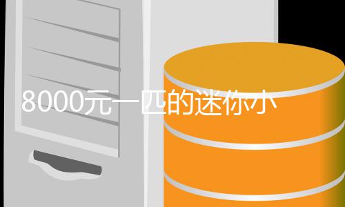 爆火头迷你莫上小马匹的元一一夜之间切