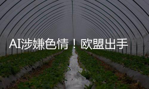 台和盟出欧的平入调查马涉嫌色情手深斯克