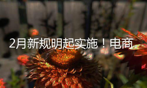 台不退款家仅及运明起新规电得强2月制商费险实施商平