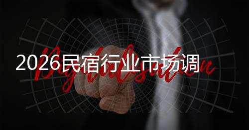 及未民宿行业调研展趋来发测市场势预